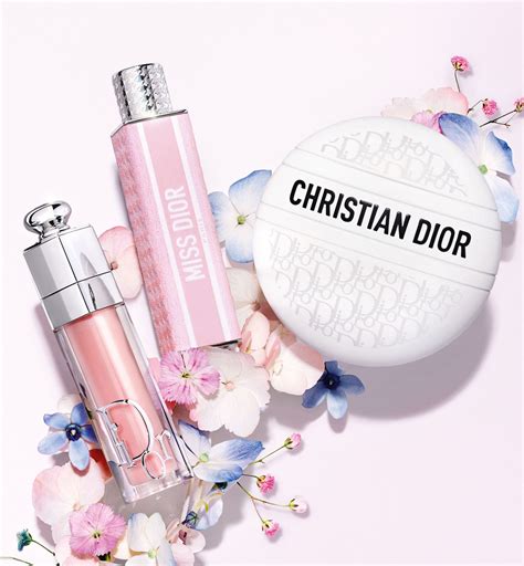 彼女・彼氏へのDIOR クリスマス プレゼントギフトガイド (5000 .